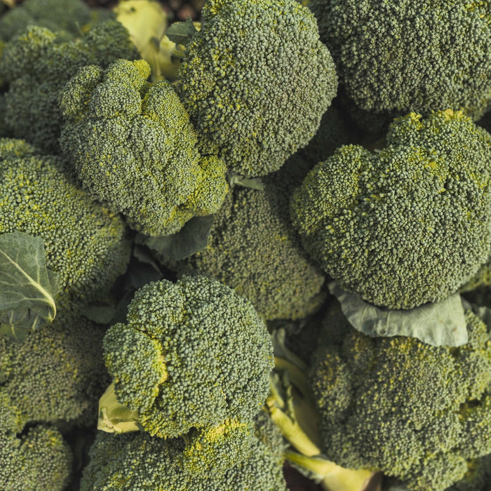 Broccoli (ea)