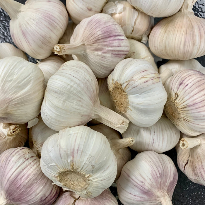 Garlic (ea)